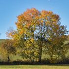 Herbstlandschaft 