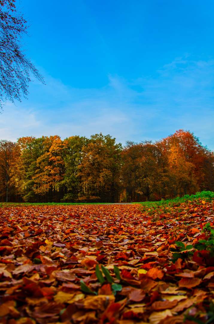 Herbstlandschaft