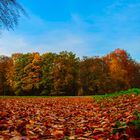 Herbstlandschaft