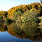 Herbstlandschaft