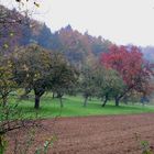 herbstlandschaft (2).jpg