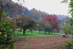 herbstlandschaft (2).jpg