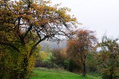 herbstlandschaft (3)