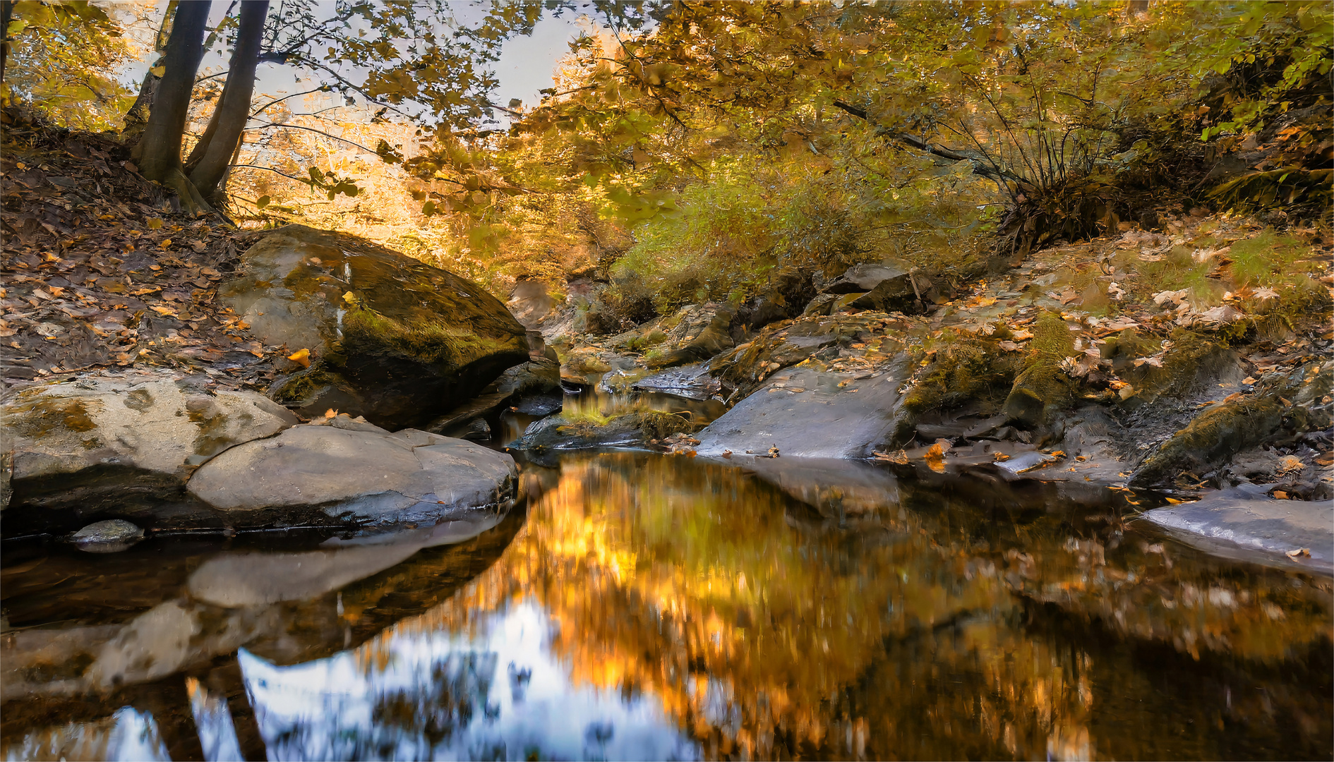 Herbstlandschaft