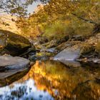 Herbstlandschaft