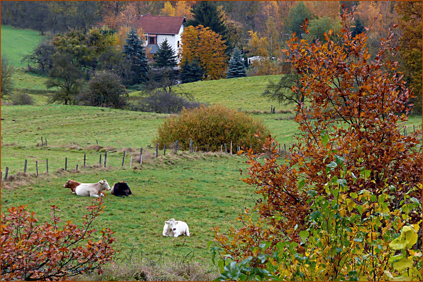 Herbstlandschaft