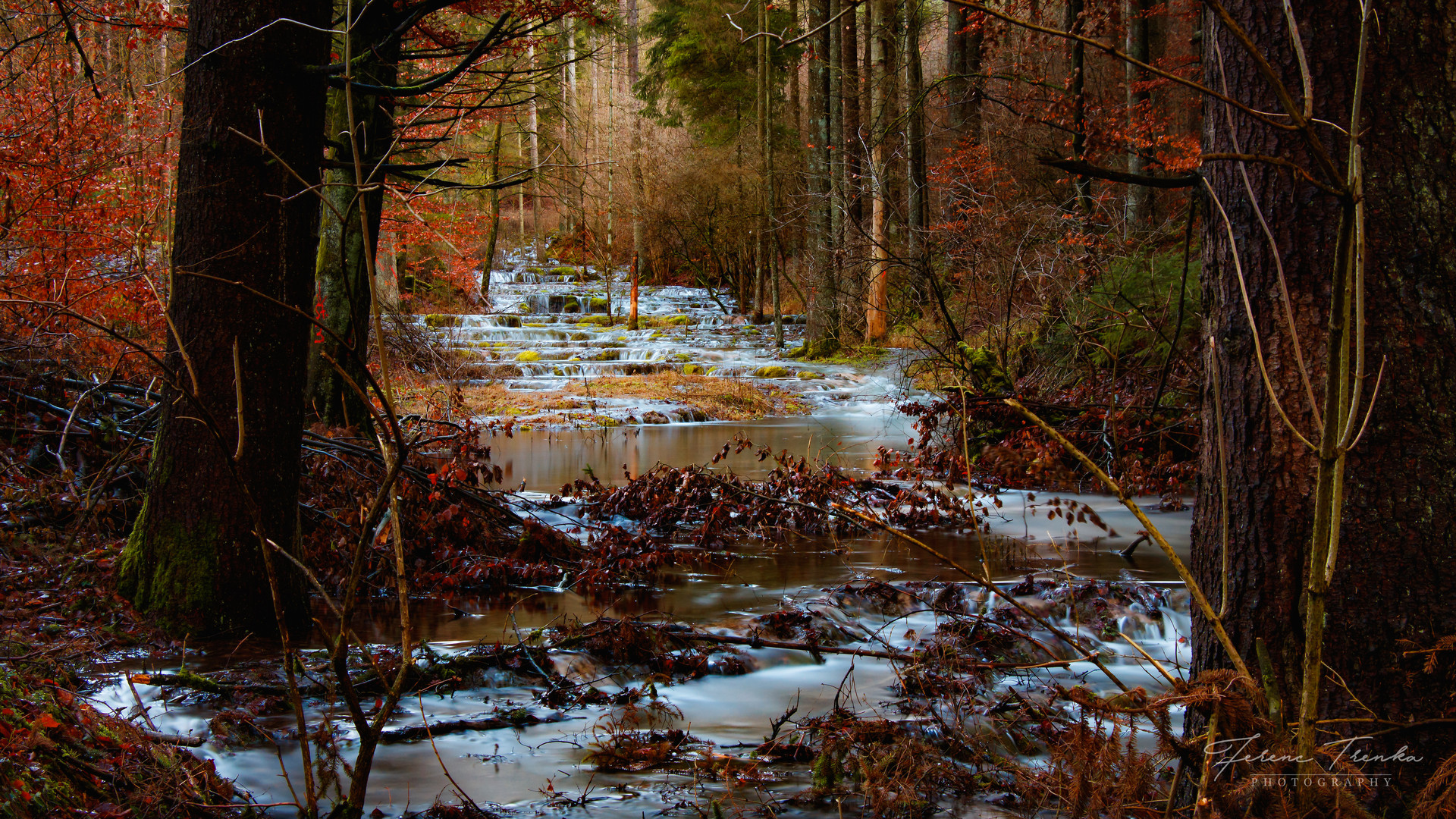 Herbstlandschaft