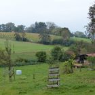 Herbstlandschaft