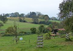 Herbstlandschaft