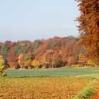 herbstlandschaft