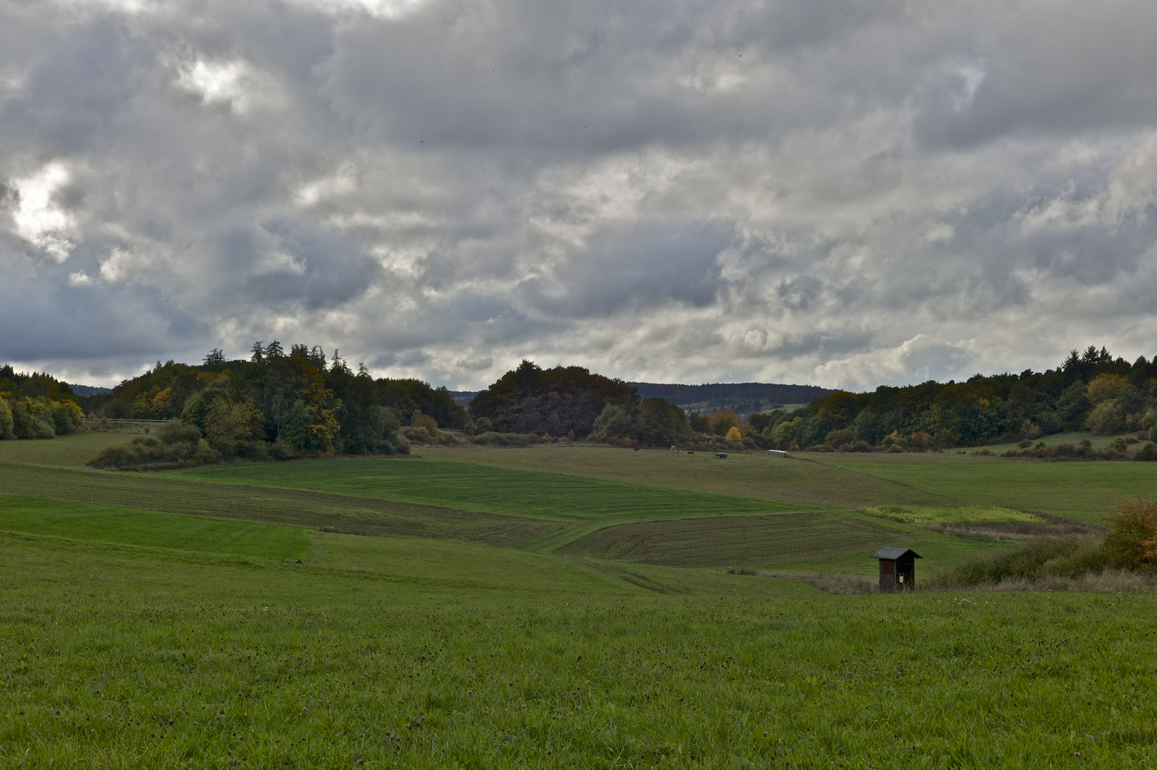 Herbstlandschaft