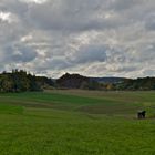 Herbstlandschaft