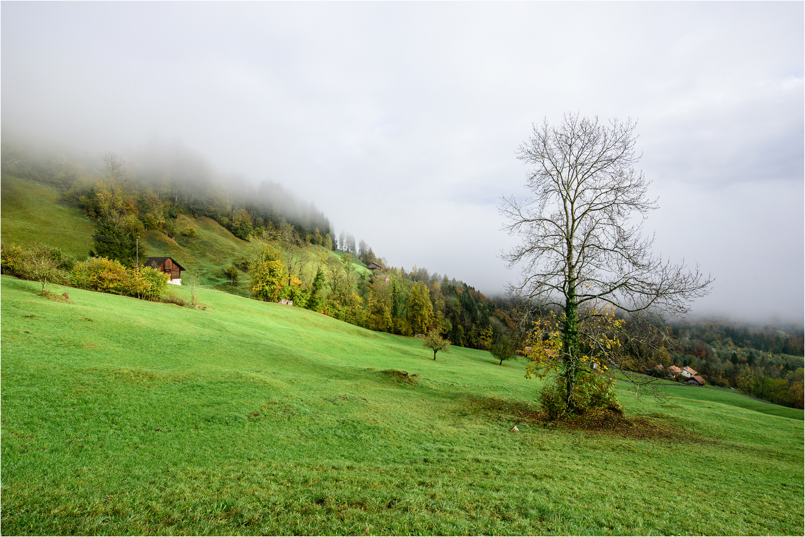 Herbstlandschaft 4