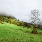 Herbstlandschaft 4