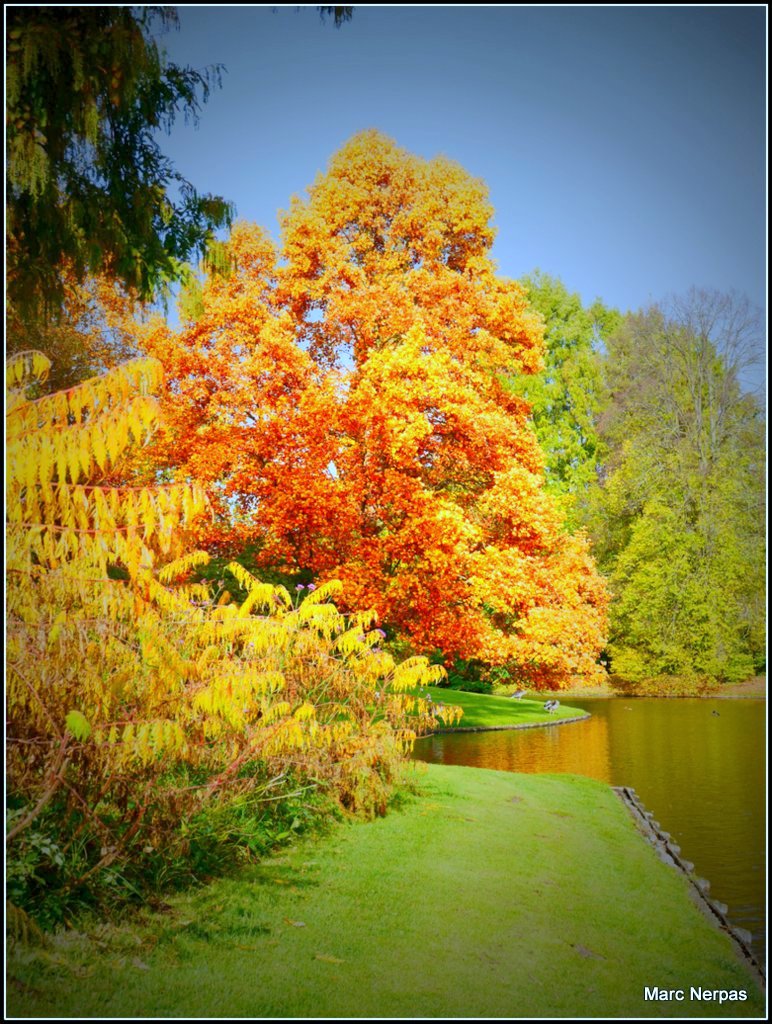 Herbstlandschaft 4