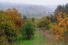 herbstlandschaft (4)