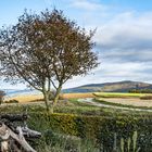 HERBSTLANDSCHAFT