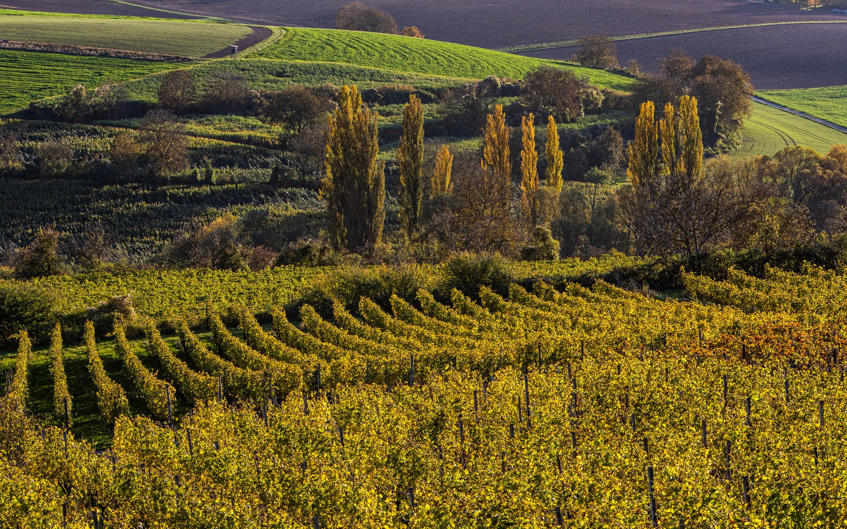 Herbstlandschaft