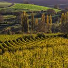 Herbstlandschaft