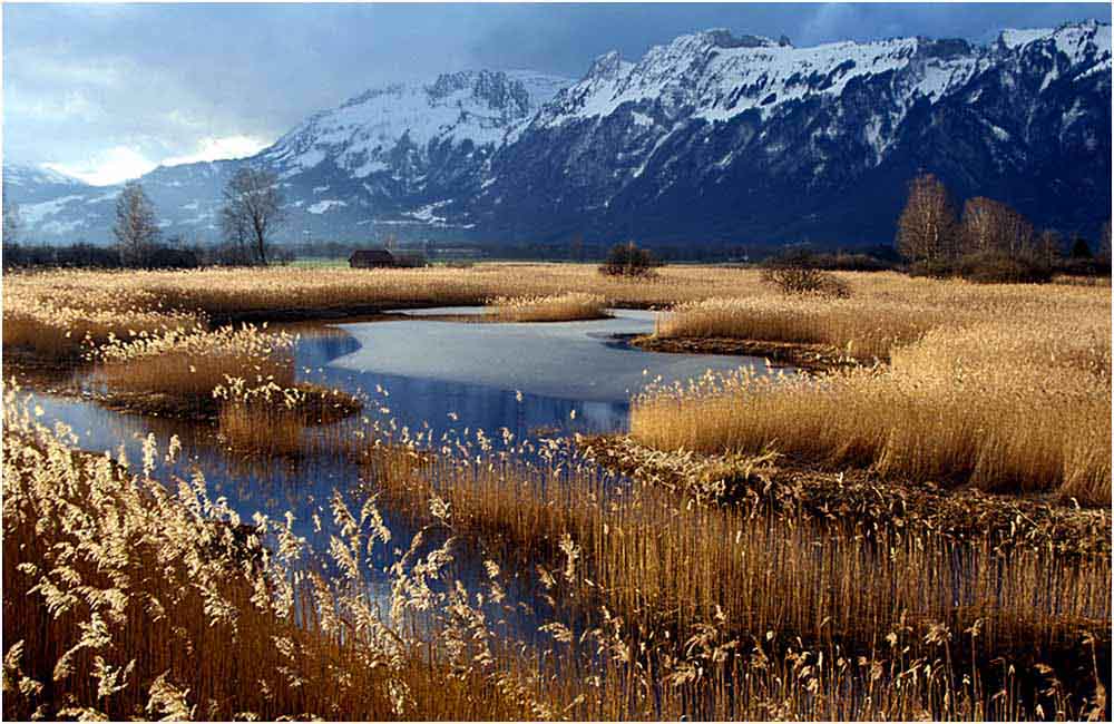 Herbstlandschaft