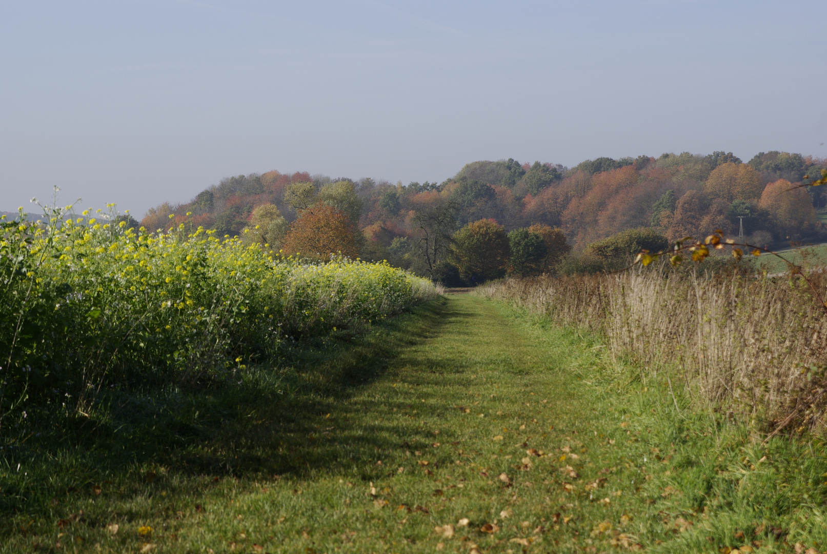 Herbstlandschaft