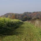 Herbstlandschaft