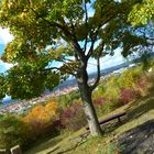 Herbstlandschaft