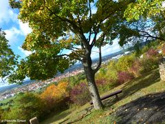 Herbstlandschaft