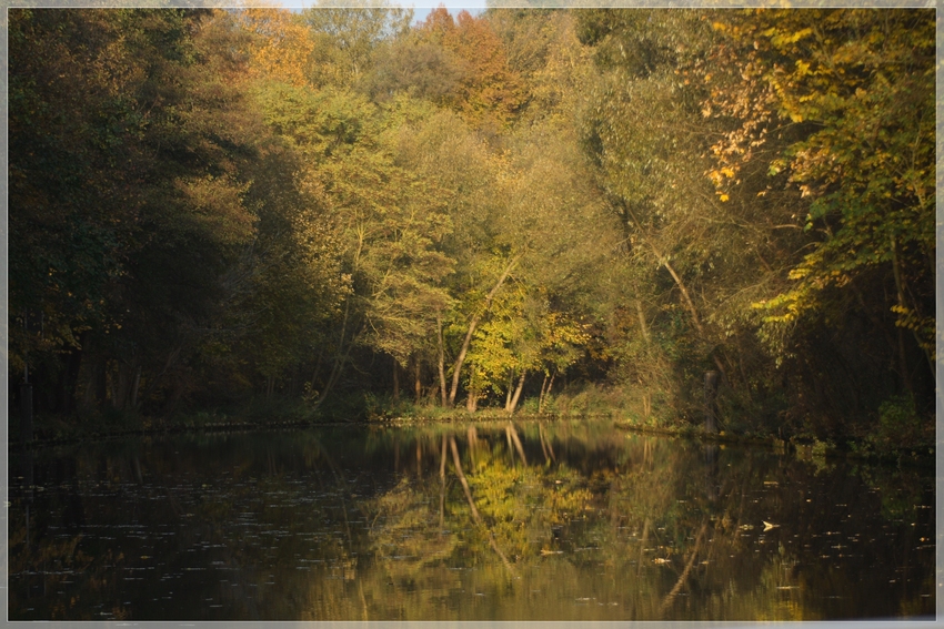 Herbstlandschaft