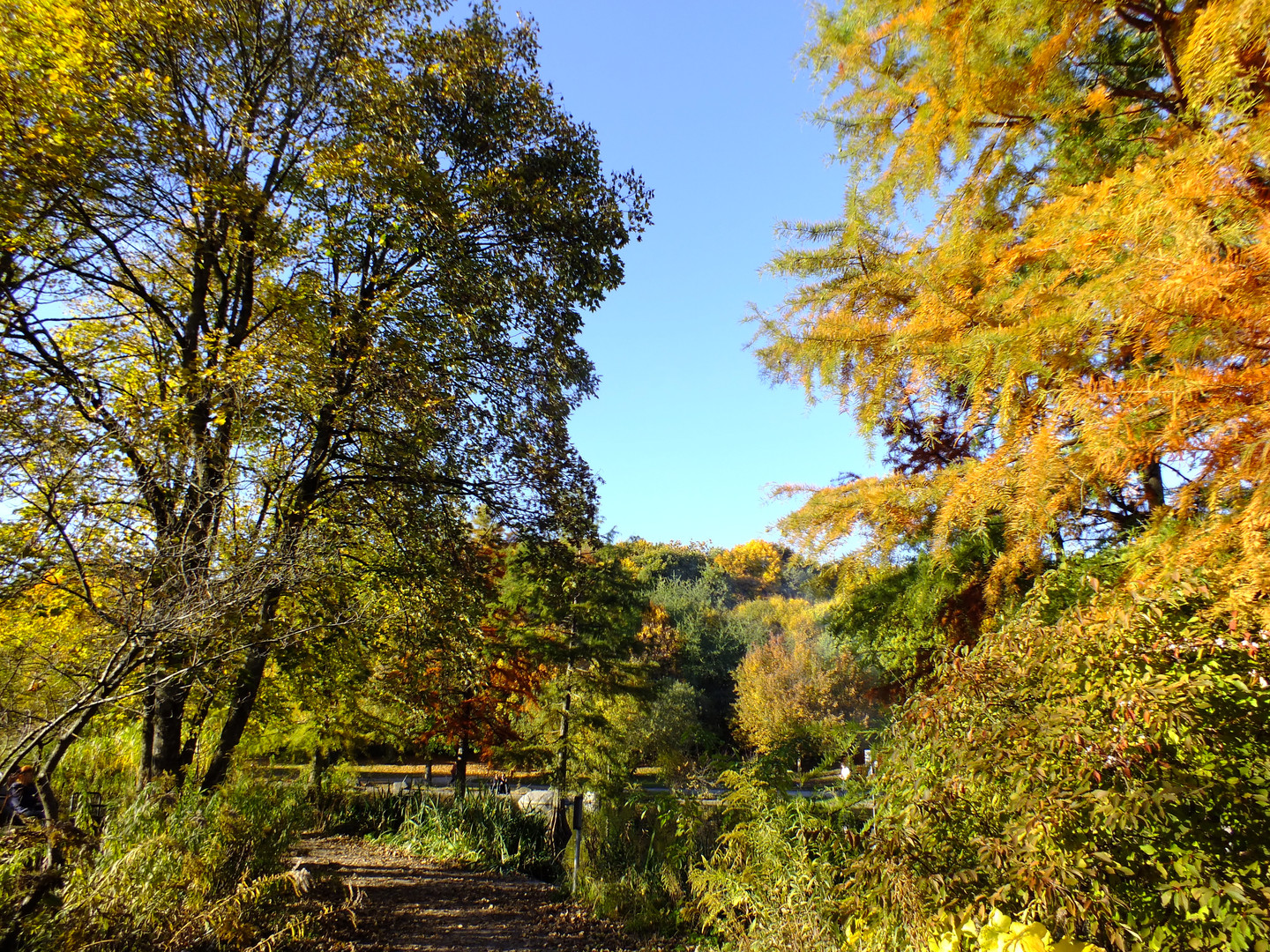 Herbstlandschaft