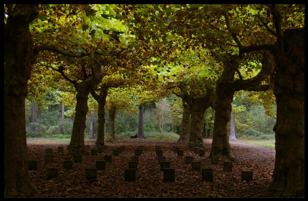 Herbstlandschaft