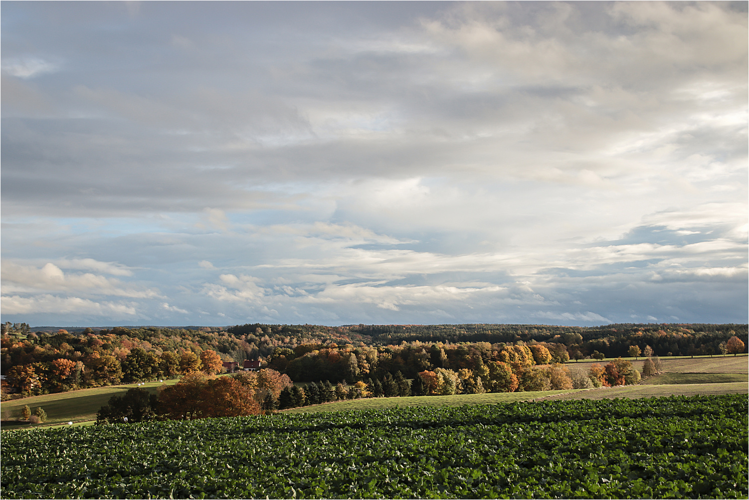 Herbstlandschaft