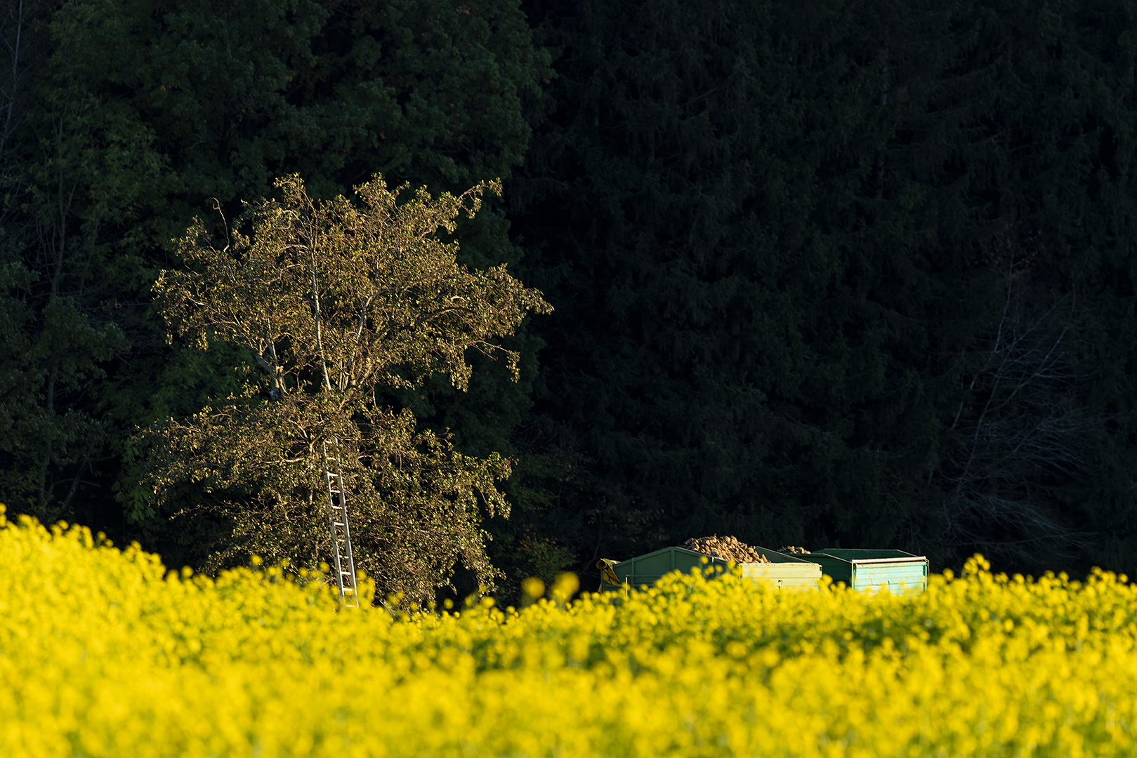 Herbstlandschaft