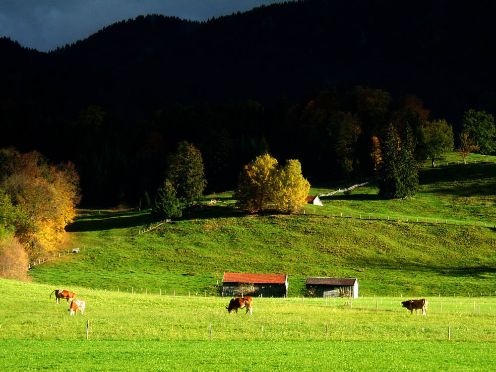 Herbstlandschaft