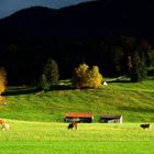 Herbstlandschaft