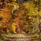 herbstlandschaft