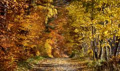 herbstlandschaft