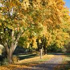 herbstlandschaft