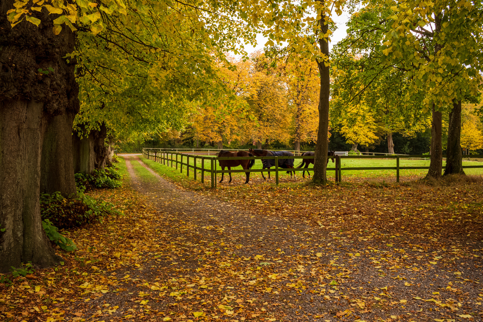 Herbstlandschaft...