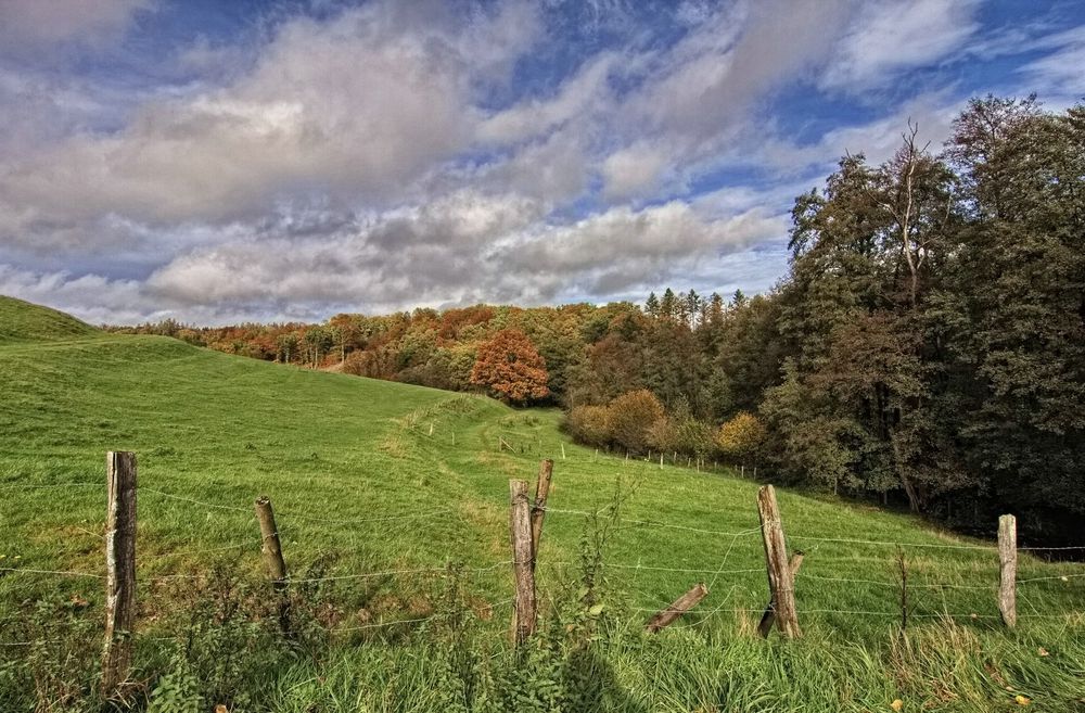 Herbstlandschaft