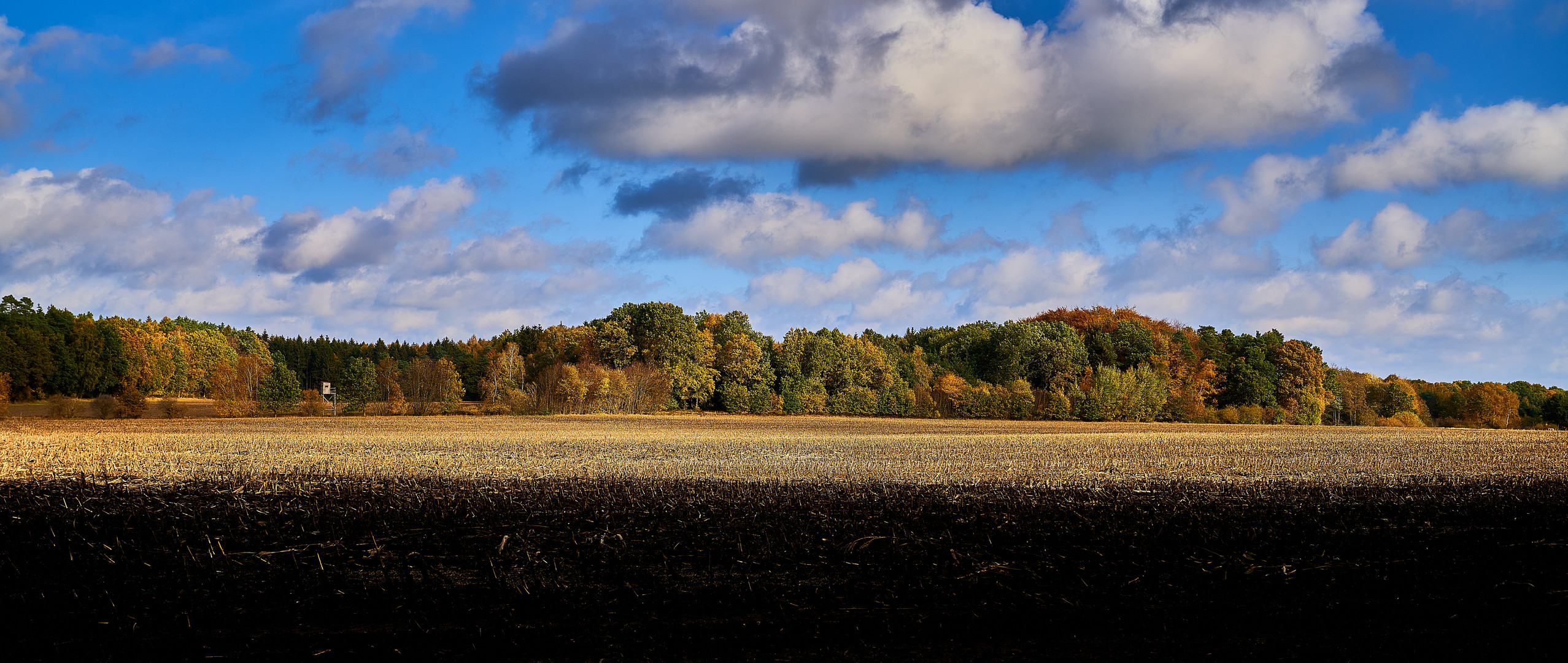 Herbstlandschaft