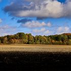 Herbstlandschaft