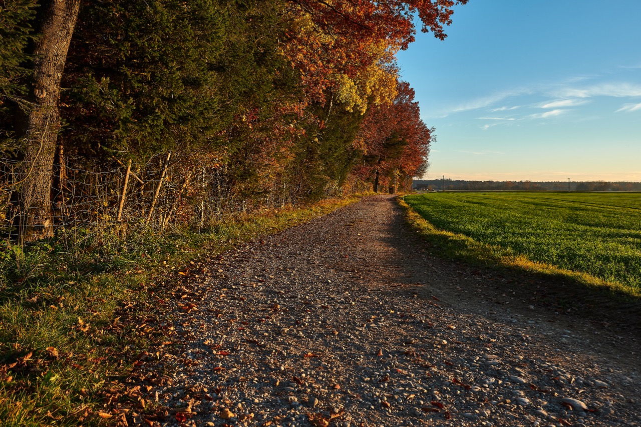 Herbstlandschaft