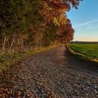 Herbstlandschaft