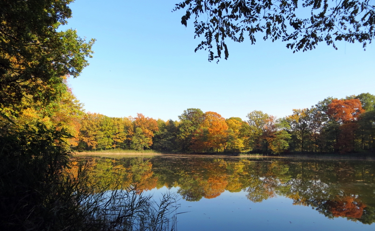 Herbstlandschaft