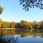 Herbstlandschaft