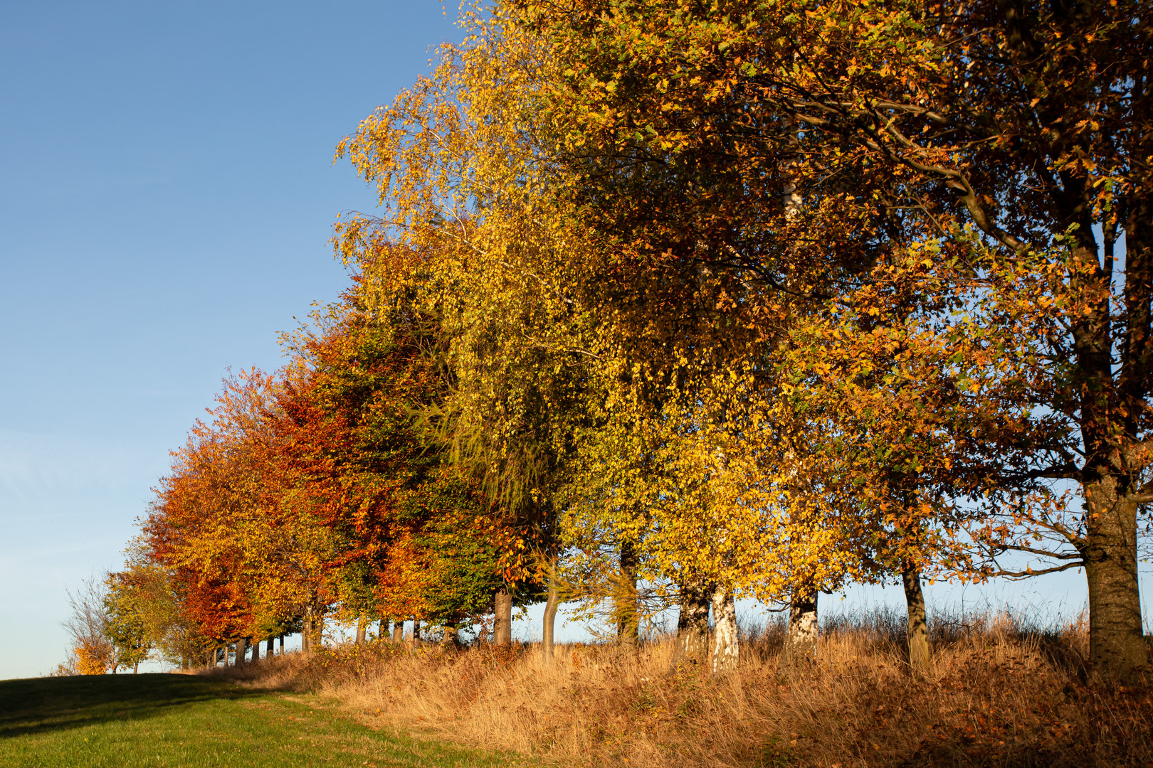 Herbstlandschaft