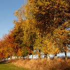 Herbstlandschaft