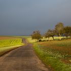 Herbstlandschaft