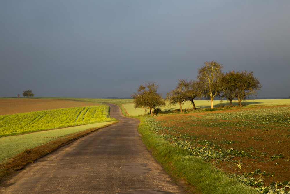 Herbstlandschaft